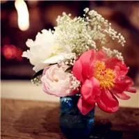 好看的花头像第1张