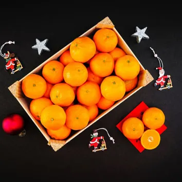 水果头像图片微信专用第1张