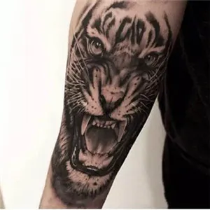 虎头纹身头像第1张