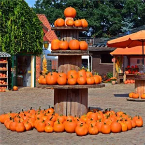 南瓜头像高清第1张