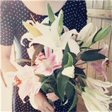 好看的百合花头像第1张