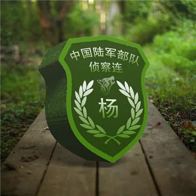 微信解放军臂章头像第1张