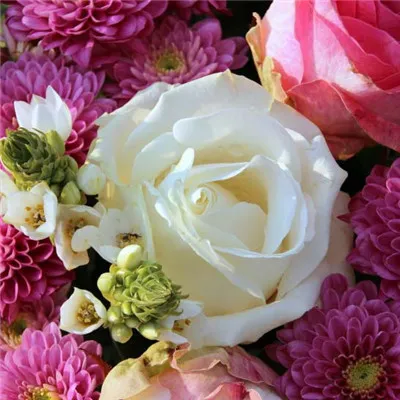 微信头像风景花朵图片第1张