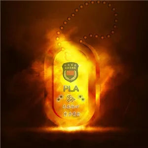 军人狗牌专属印记微信头像第1张