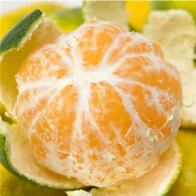 关于橘子的头像第1张