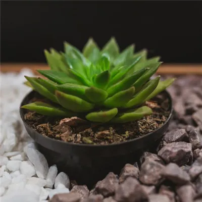 微信头像小清新第1张