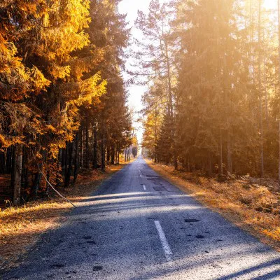 秋天树林风景头像第1张