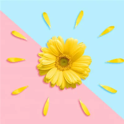 菊花微信头像第1张