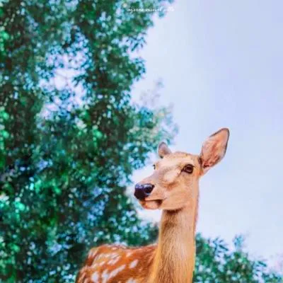 最具个性的微信风景头像第1张