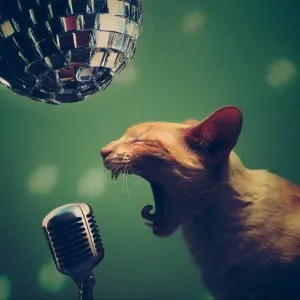 宣泄头像图片大全第1张