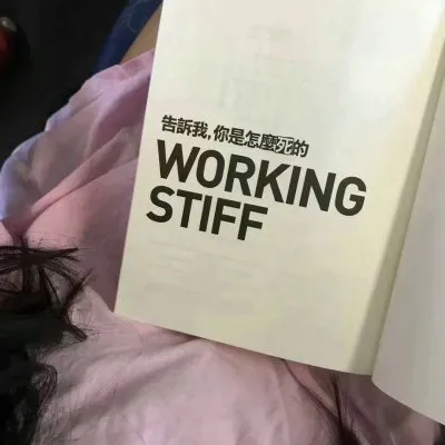 个性静物头像第1张