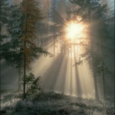 微信个性背景图片头像第1张