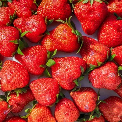 草莓微信头像第1张