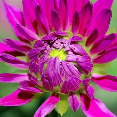 高清微信头像第1张