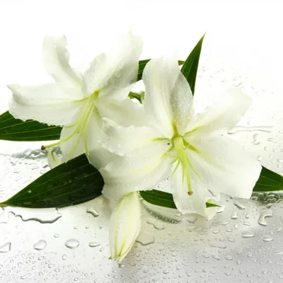 适合妈妈的微信头像第1张