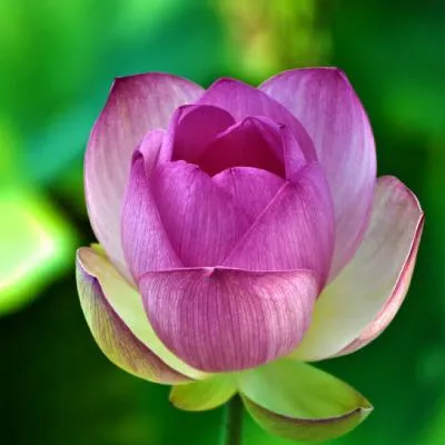 80后微信头像第1张