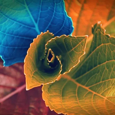 女人转运头像图片第1张