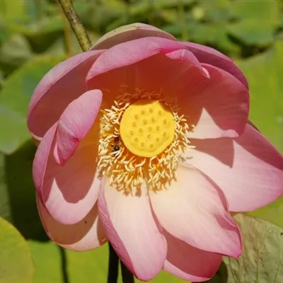 70后妈妈微信头像第1张