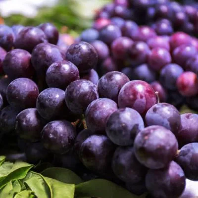 葡萄水果头像第1张