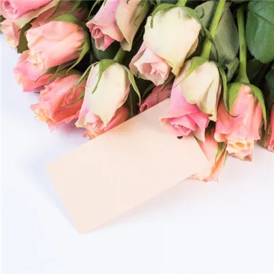 粉色玫瑰花头像图片第1张