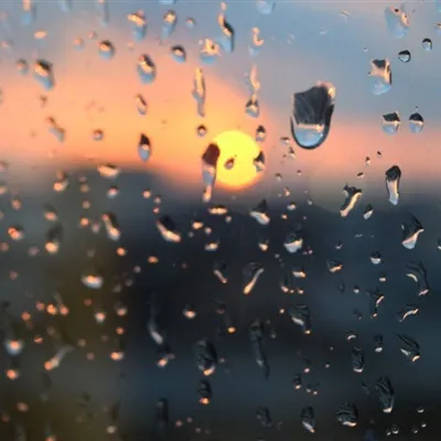 个性唯美水珠微信头像第1张