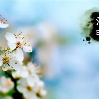 适合悼念的微信头像第1张