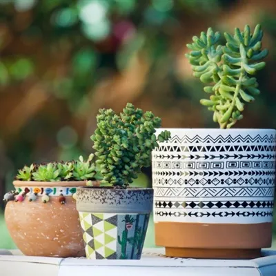 适合爱花的人的头像第1张