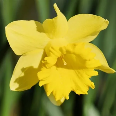 70后微信头像第1张