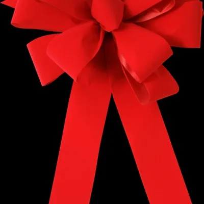 蝴蝶结微信头像图片第1张