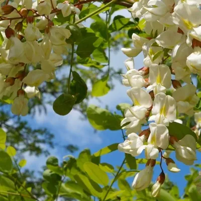 个性唯美微信头像图片第1张