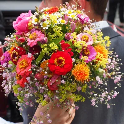 带来好运带来爱情的微信头像花第1张