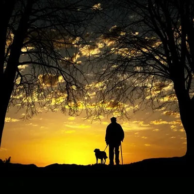 一看就舒心的微信头像第1张