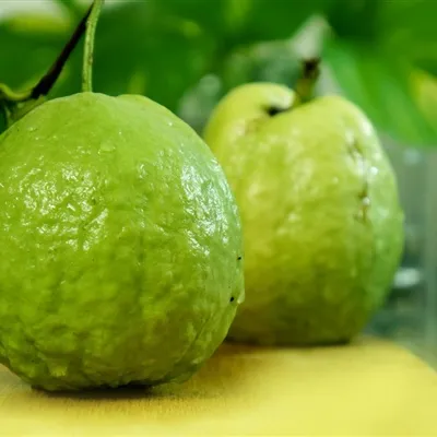 一看就想吃的水果头像来了第1张