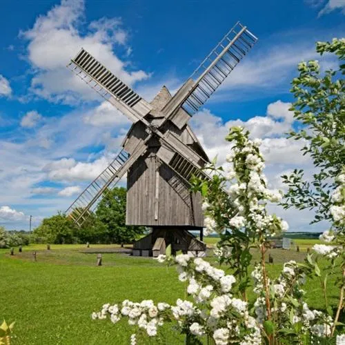 好看的风车图片头像第1张