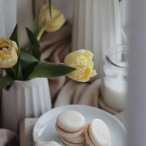 马卡龙微信头像第1张