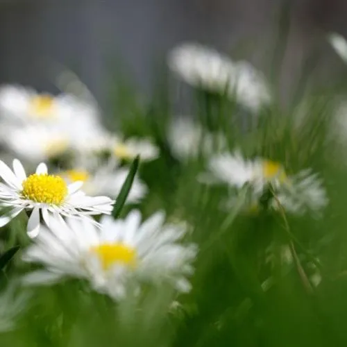 给女人带来好运的头像第1张